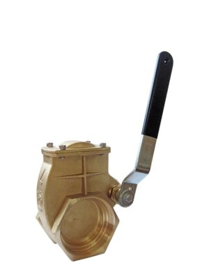 Lever gate valve