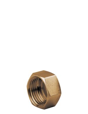 <b>art. 2061 -</b> Blind hexagonal nut
